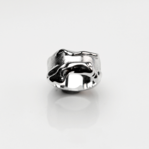 Liquid Ring - Isar